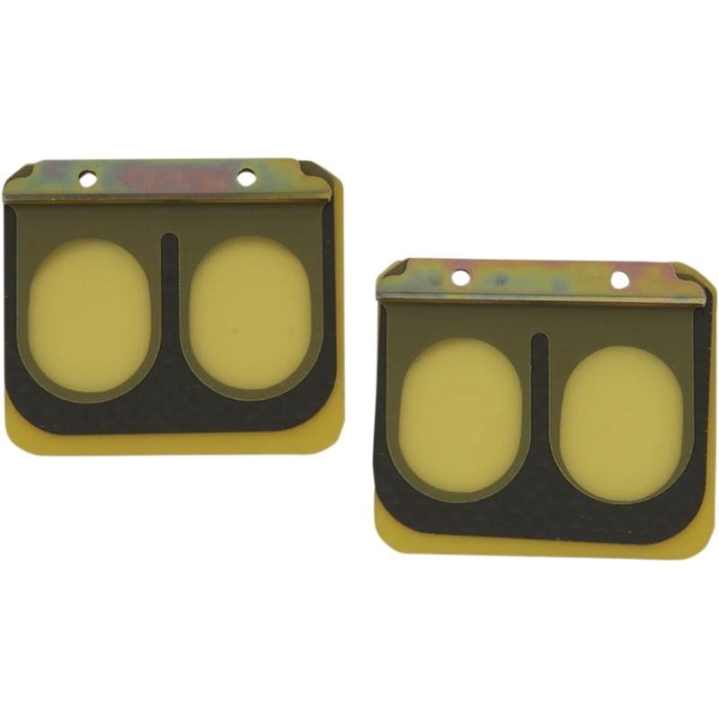 Boyesen Replacement Pro Series Reed Set – RAD11K – Kawasaki PSR-205