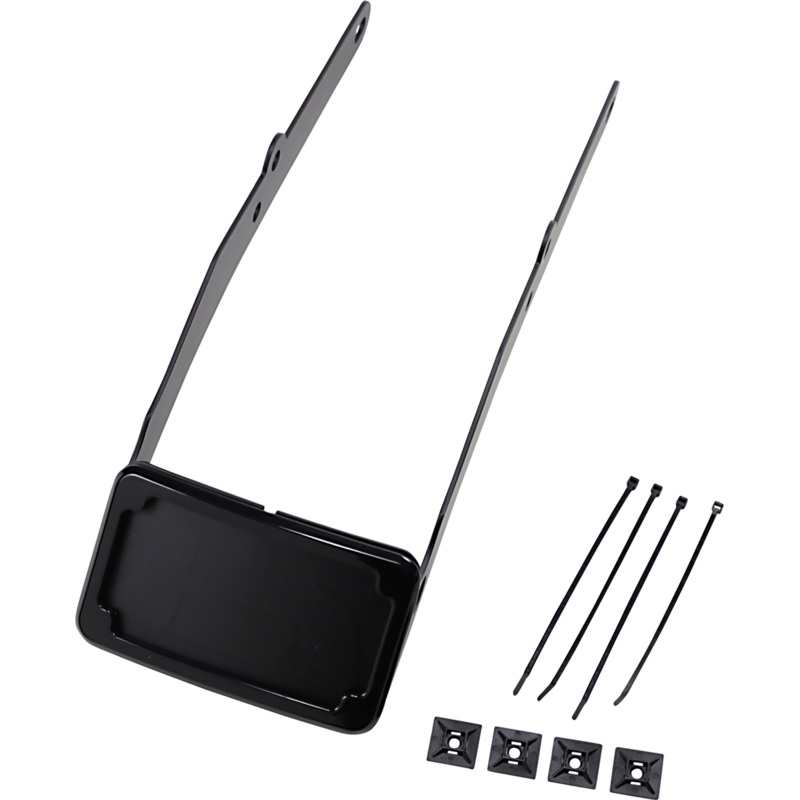 Cycle Visions LP Plate Frame & Mount with Tag Light – FLSL – Black CV4665B