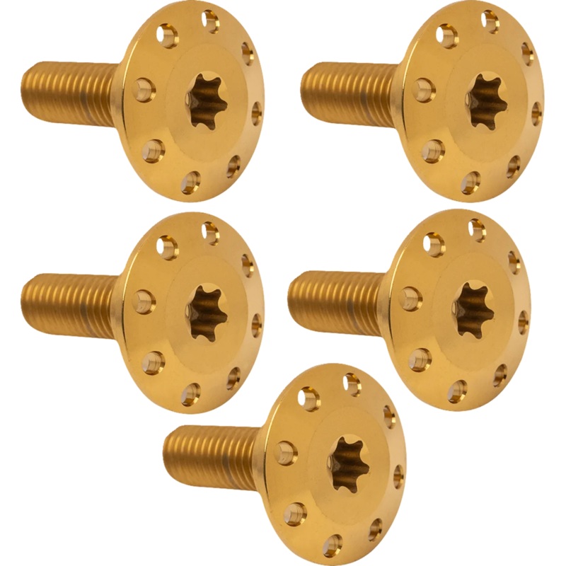 Arlen Ness Bolt Kit – Holeshot/Rotor/Rear – Hub Mount – Gold – 5 Pack 300-908