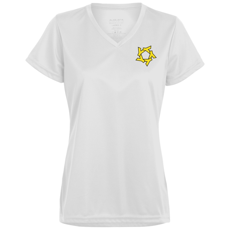 YSR Ladies Moisture-Wicking V-Neck Tee