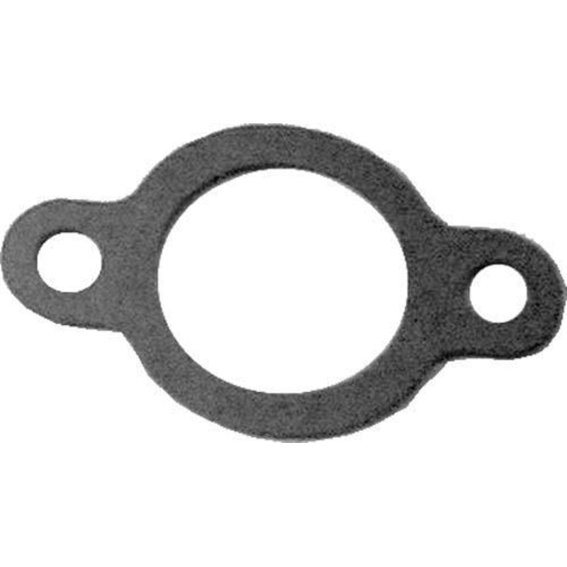 Club Car DS / Precedent FE290/FE350 Intake Gasket (Years 1992-Up)