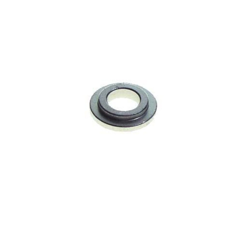 E-Z-GO RXV Drive Clutch Mounting Washer (Years 2008-Up)