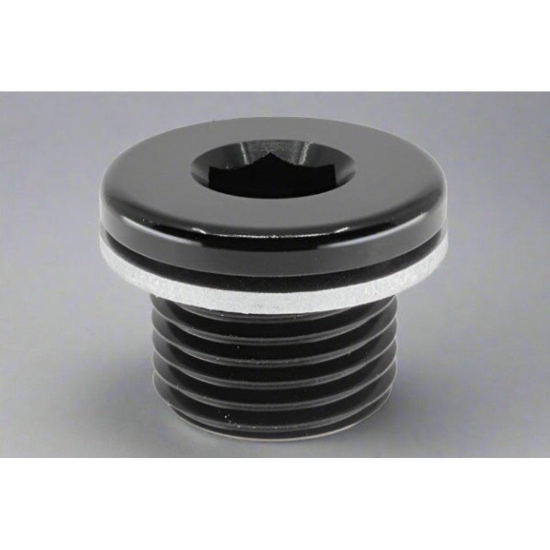 Hex Plug with washer M10X1.0