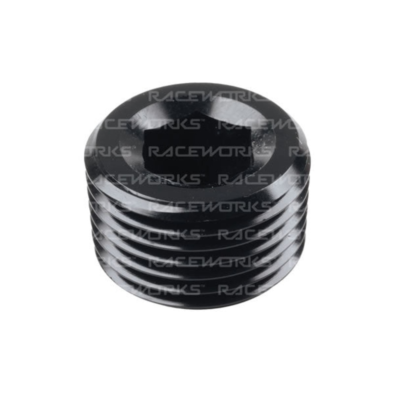 Raceworks In Hex NPT Plugs NPT PLUG 1/8IN SS
